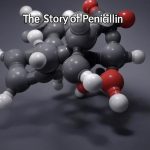 The Story of Penicillin