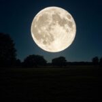 the moon