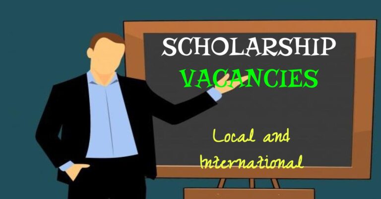 EGYAID Scholarship Program 2025-2026